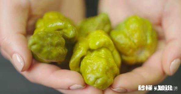 当魔鬼辣椒遇上四川人后,会发生什么事