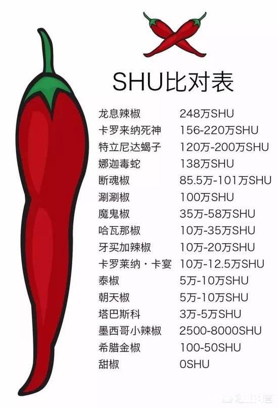 当魔鬼辣椒遇上四川人后,会发生什么事