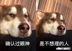 怎样挽回狮子座男友