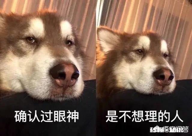 怎样挽回狮子座男友