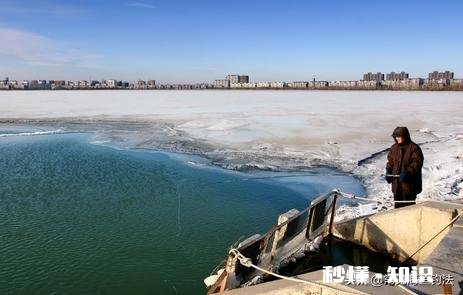 气温异常的冬季,会对鱼儿造成怎么样的影响