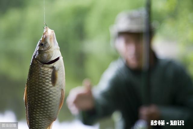 气温异常的冬季,会对鱼儿造成怎么样的影响