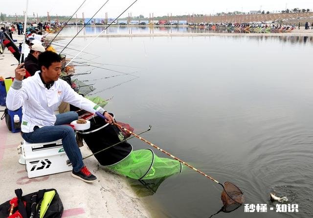 气温异常的冬季,会对鱼儿造成怎么样的影响