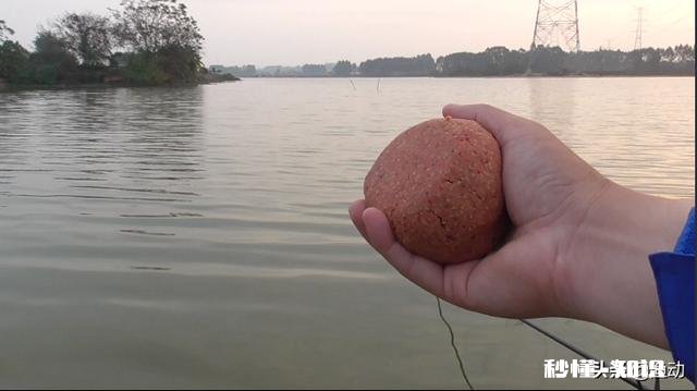 气温异常的冬季,会对鱼儿造成怎么样的影响