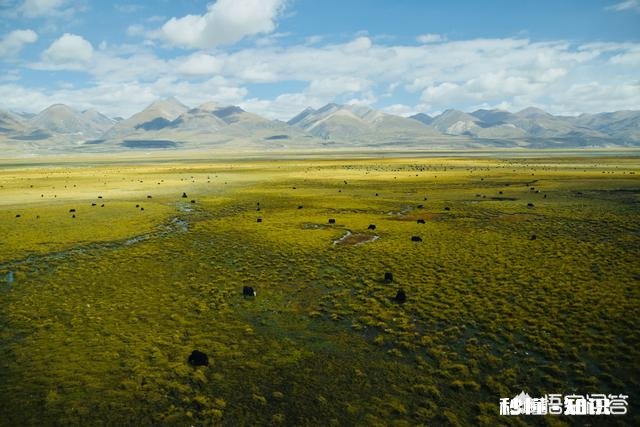 初次进藏,火车去飞机回是最佳选择吗坐火车会不会有高原反应