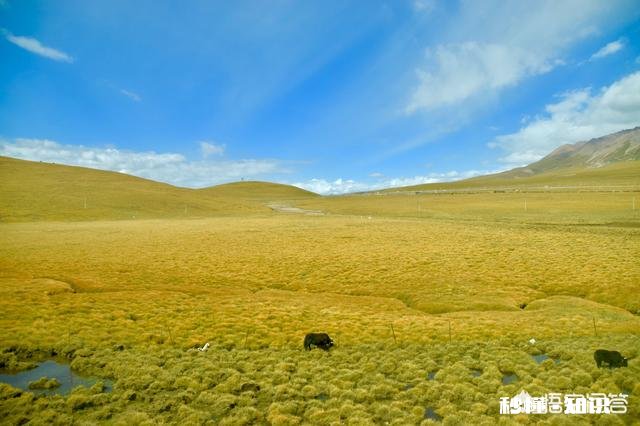 初次进藏,火车去飞机回是最佳选择吗坐火车会不会有高原反应