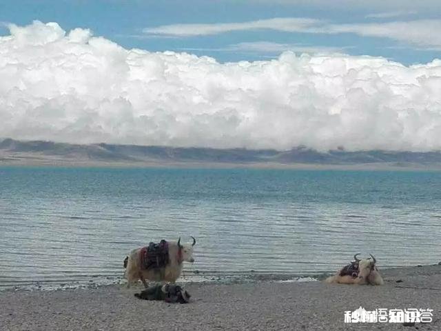 初次进藏,火车去飞机回是最佳选择吗坐火车会不会有高原反应