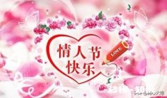 七夕到了，可女朋友在外地，你会怎么办