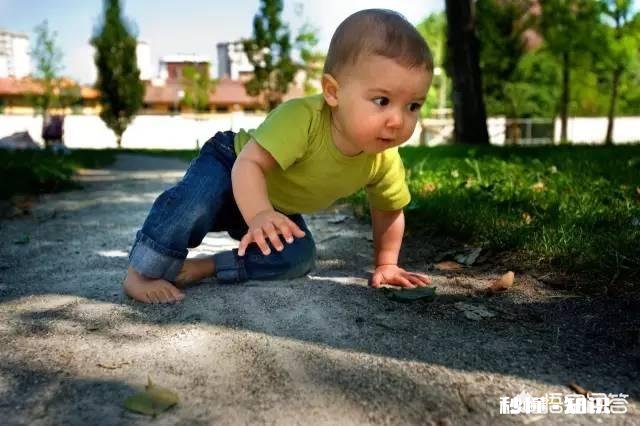 宝宝聪明的几大表现是什么