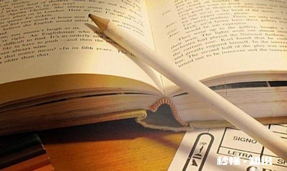 疫情下的中年危机你怎么看