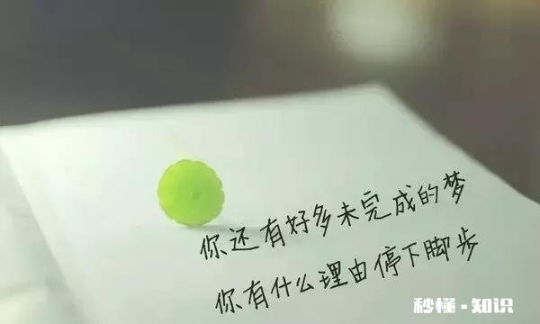 疫情下的中年危机你怎么看