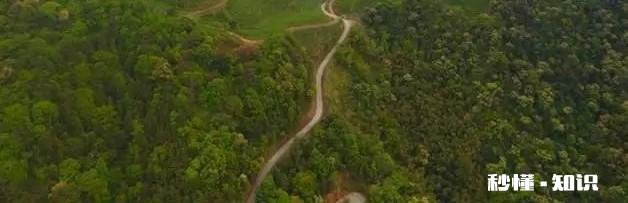 疫情下的中年危机你怎么看