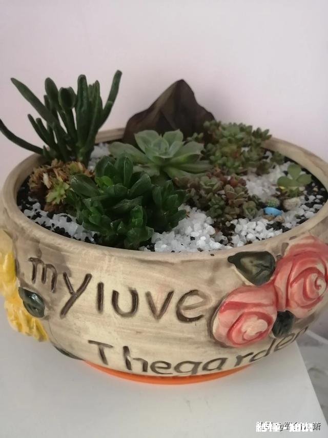 为什么有的人谈恋爱，谈着谈着就不想谈了，求解