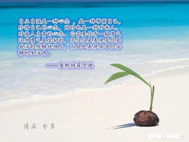 有人说不爱你的人才希望你独立又坚强，包括父母吗你怎么看