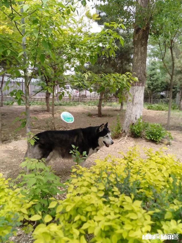 作为一个摄影爱好者，可以分享一下你在各地拍摄的熏衣草图片么