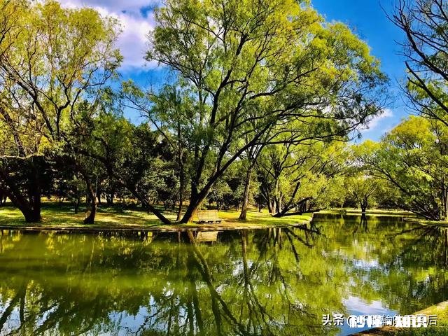 女55岁退休,养老金5000元,两套房产,在全国算什么水平