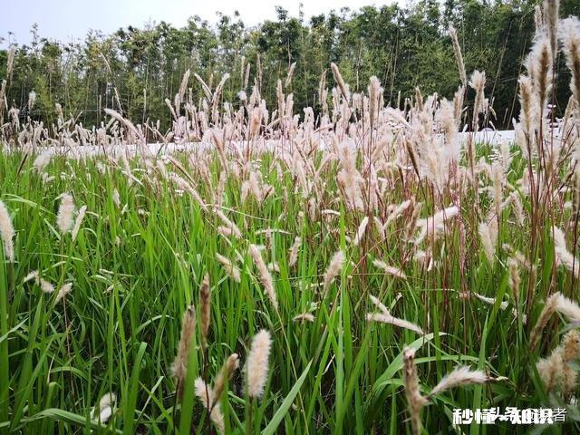 女55岁退休,养老金5000元,两套房产,在全国算什么水平