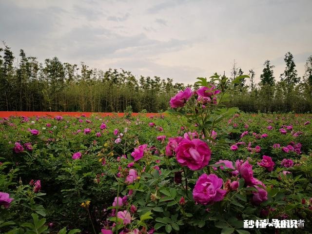 女55岁退休,养老金5000元,两套房产,在全国算什么水平