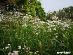 女55岁退休，养老金5000元，两套房产，在全国算什么水平