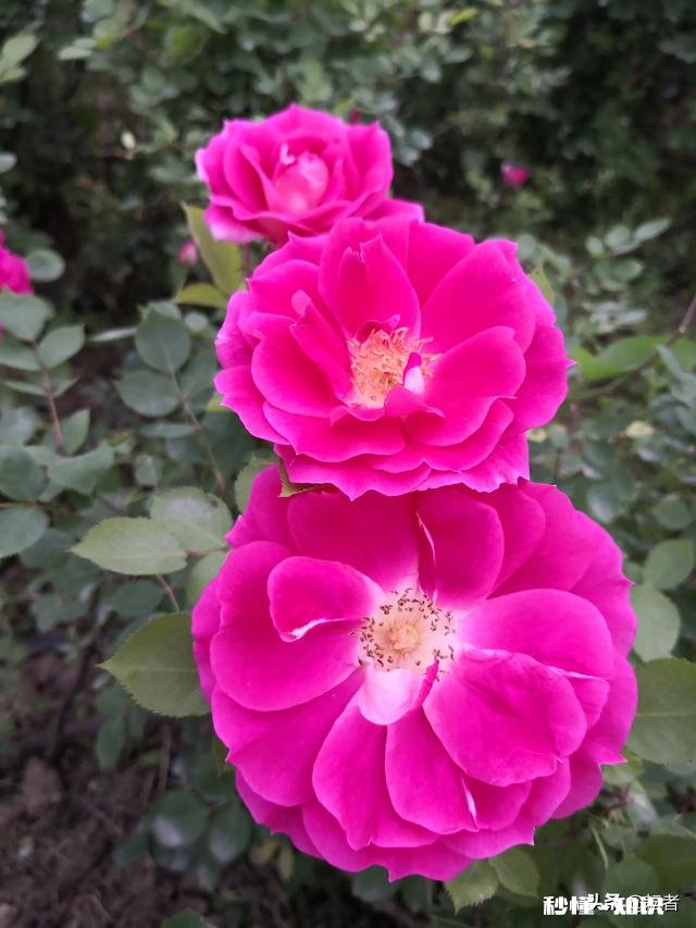 女55岁退休,养老金5000元,两套房产,在全国算什么水平