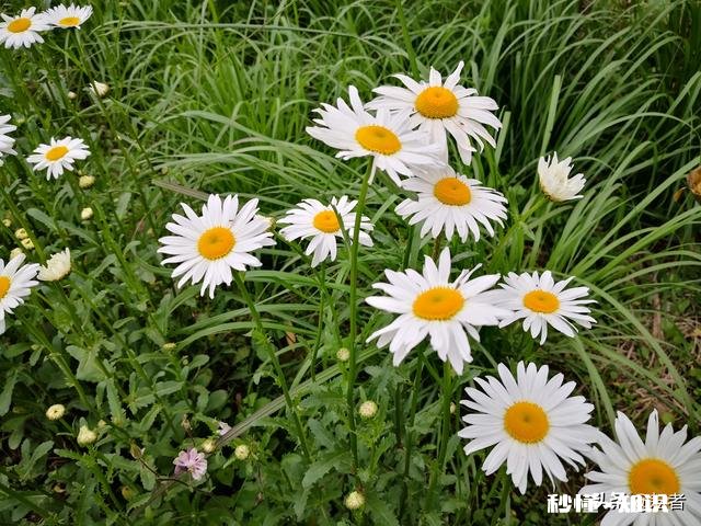 女55岁退休,养老金5000元,两套房产,在全国算什么水平