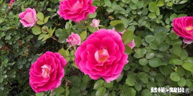 女55岁退休,养老金5000元,两套房产,在全国算什么水平