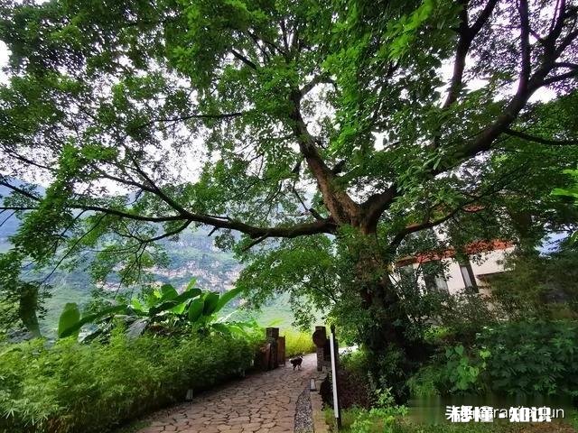 月有阴晴圆缺，我们对待自己的工作应该认真还是混日子