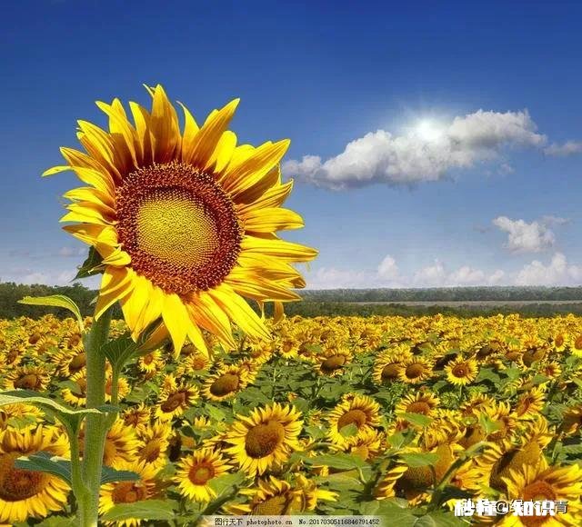 月有阴晴圆缺，我们对待自己的工作应该认真还是混日子