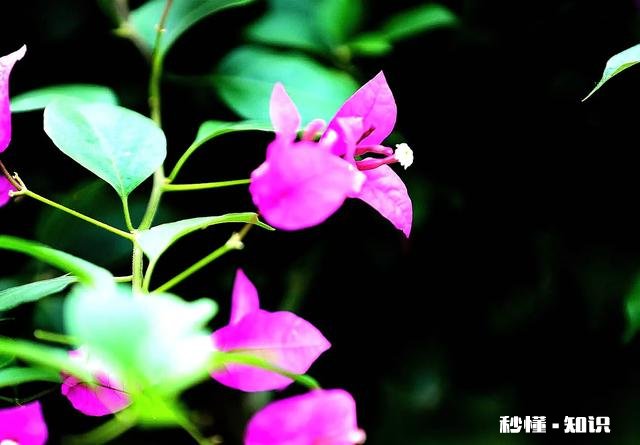 单反相机镜头几万元一支，是否存在垄断行为