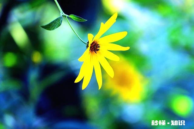 单反相机镜头几万元一支，是否存在垄断行为