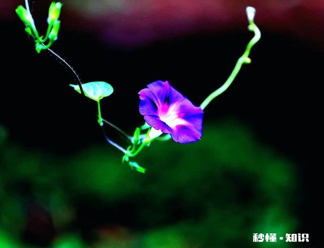 单反相机镜头几万元一支，是否存在垄断行为