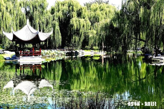 单反相机镜头几万元一支，是否存在垄断行为