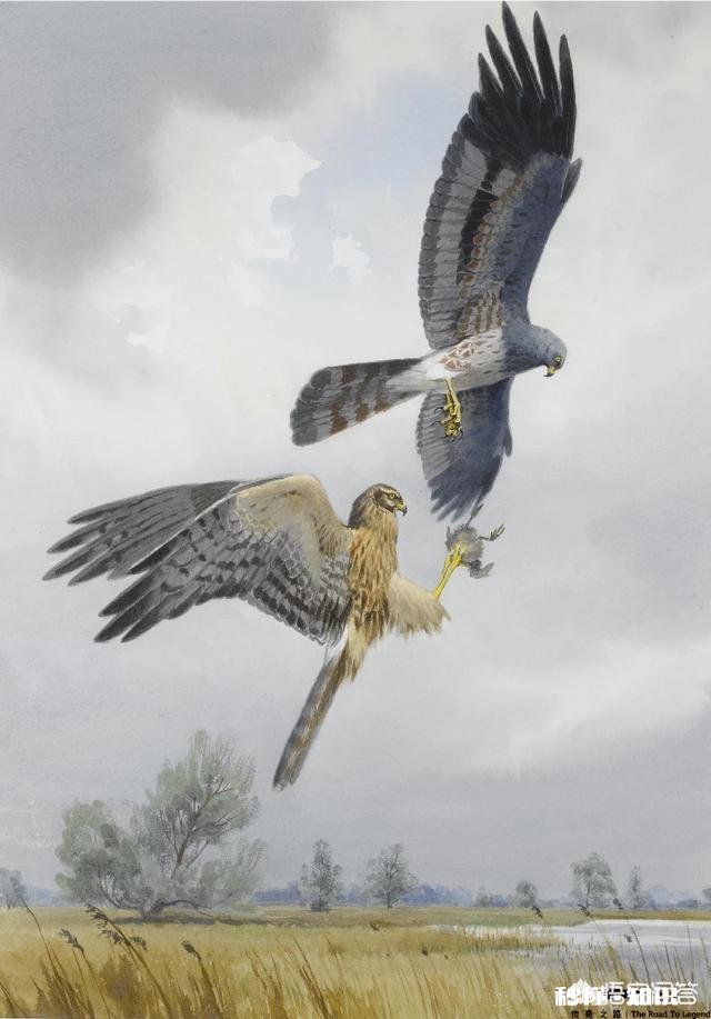 为什么很多70、80后觉得身边最成功的反而是当初读书很差的同学