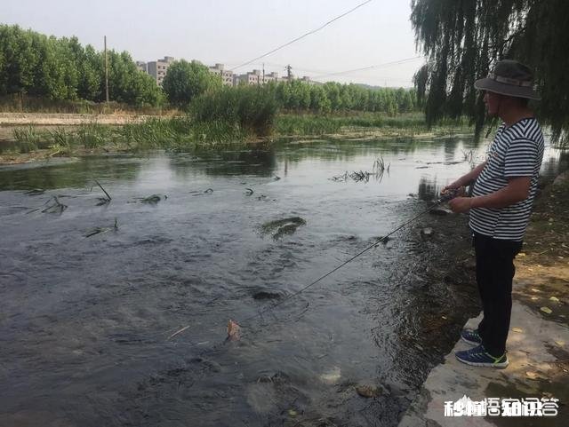 路亚陌生水域如何快速找鱼