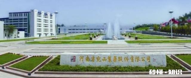 南阳哪个企业最出名