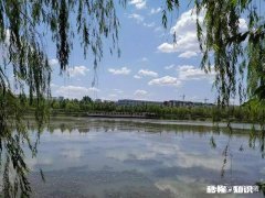 你知道人生最难突破的是什么吗