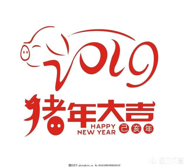 你们打算怎么迎接2019年