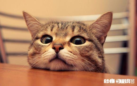 微信聊天，喜欢撤回信息的人是什么样的人