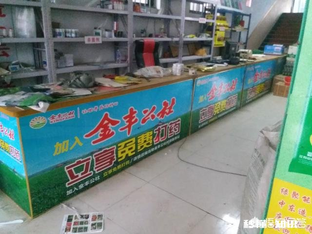 2019你最想做的事情是什么