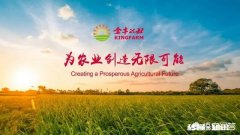 2019你最想做的事情是什么