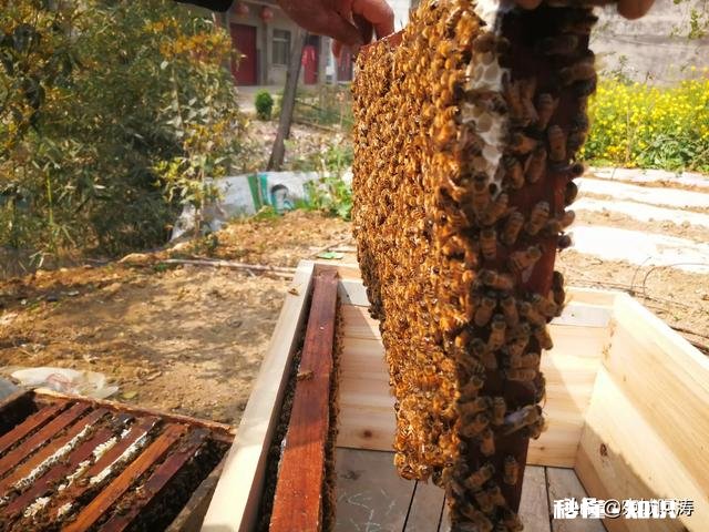 为什么城里的好多朋友夏天的时候都喜欢回农村的老家来居住