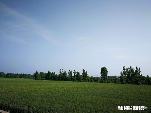 为什么城里的好多朋友夏天的时候都喜欢回农村的老家来居住