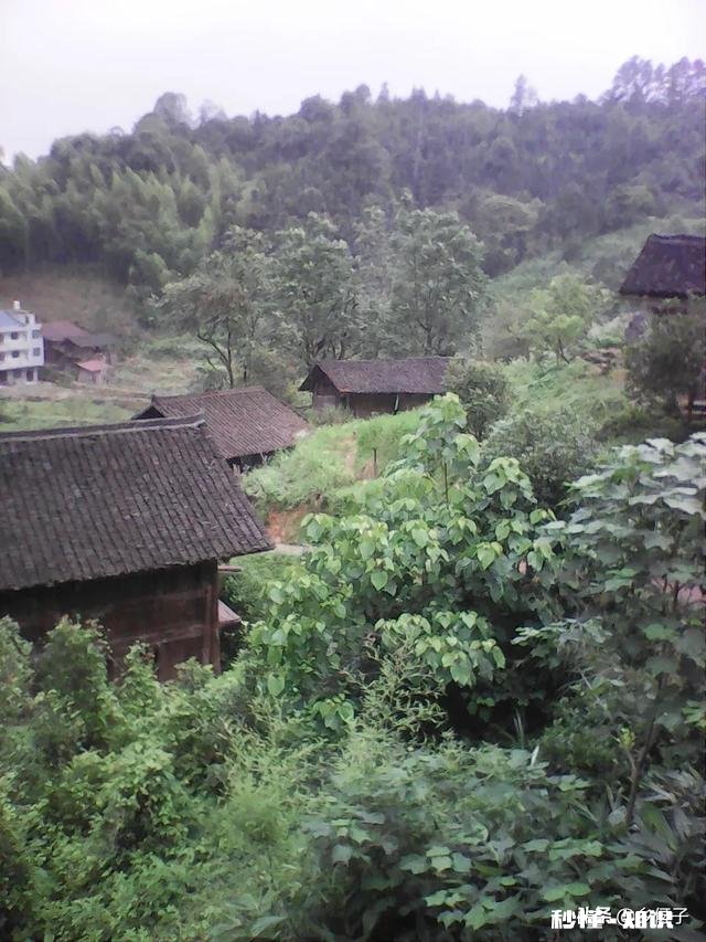 为什么城里的好多朋友夏天的时候都喜欢回农村的老家来居住