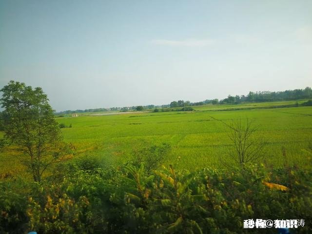 为什么城里的好多朋友夏天的时候都喜欢回农村的老家来居住