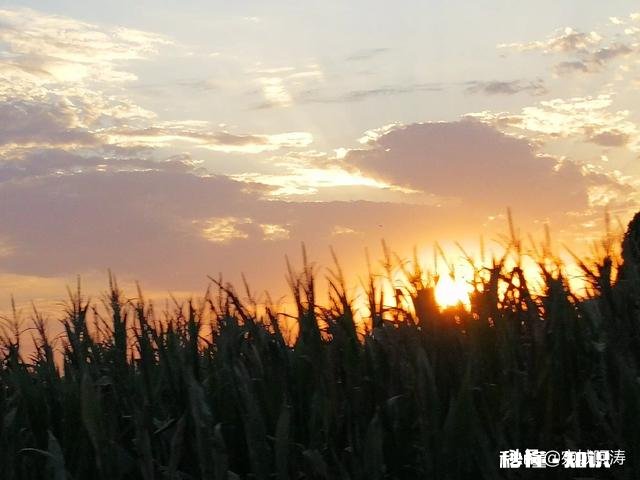 为什么城里的好多朋友夏天的时候都喜欢回农村的老家来居住