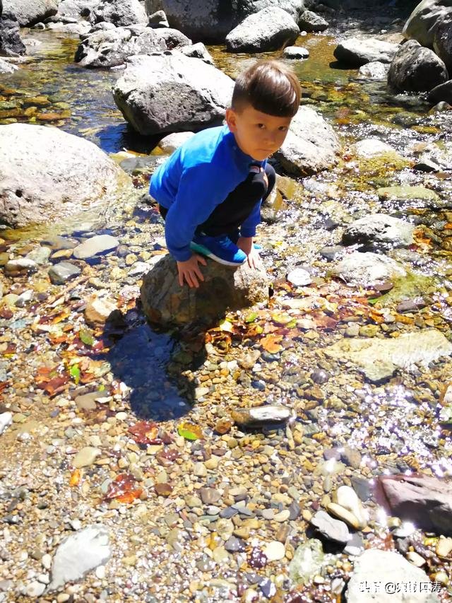 为什么城里的好多朋友夏天的时候都喜欢回农村的老家来居住