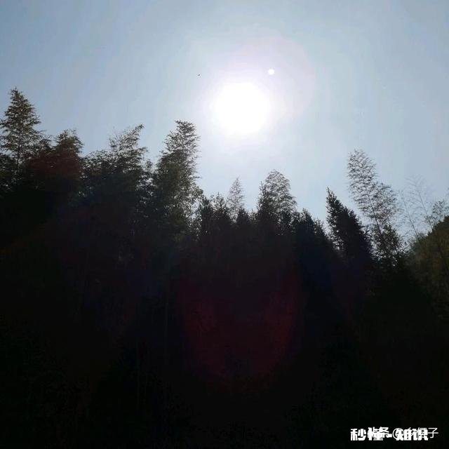 为什么城里的好多朋友夏天的时候都喜欢回农村的老家来居住