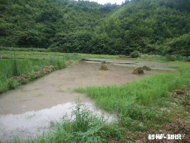 为什么城里的好多朋友夏天的时候都喜欢回农村的老家来居住