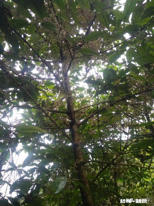 为什么城里的好多朋友夏天的时候都喜欢回农村的老家来居住