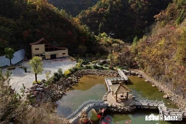 过年时你会选择什么交通工具回家回家时的心情是怎样的